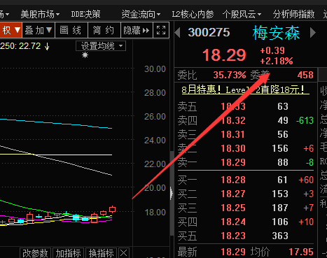 2025澳门今晚必开一肖，详细解答、实时解答解释落实