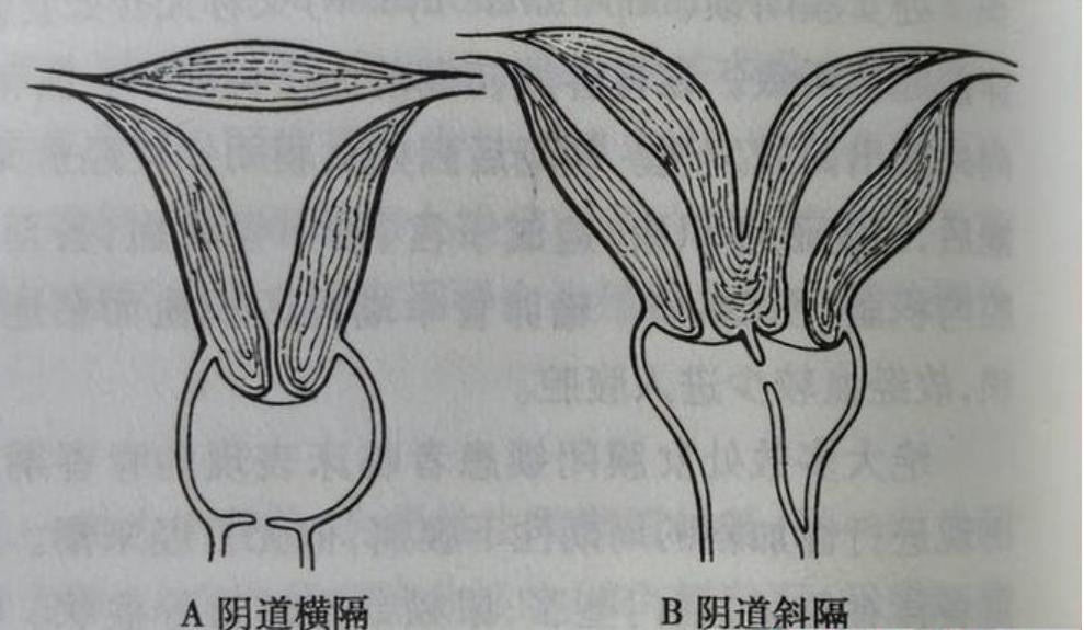 百家号:澳门一码一肖一特一中，详细解答、精准解答解释落实