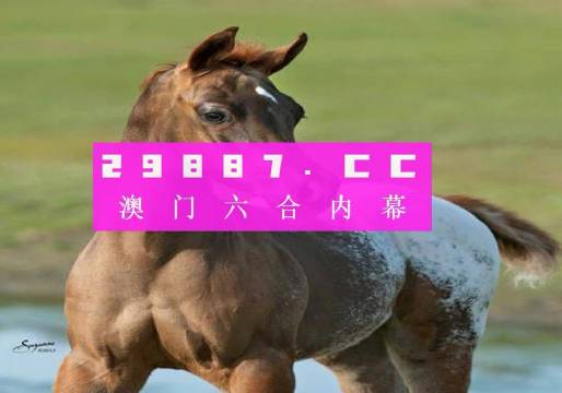 今晚一肖一码澳门一肖四不像详细解答、解释与落实、构建解答解释落实